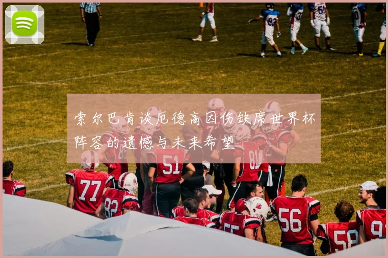 索尔巴肯谈厄德高因伤缺席世界杯阵容的遗憾与未来希望